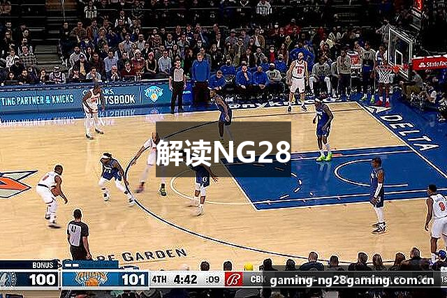 解读NG28